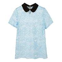 blue contrast collar lace top