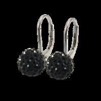 Black 10mm Crystal Drop Titanium Earrings