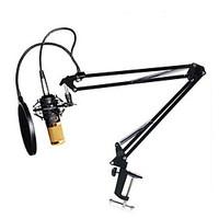 bm800 condenser microphone cardioid pro audio studio vocal recording m ...