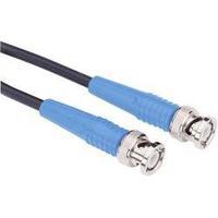 BNC test lead [ BNC plug - BNC plug] 3 m Blue Testec 81043