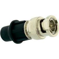 BNC connector Plug, straight 75 ? Telecom Security 1 pc(s)