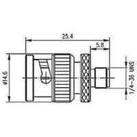 bnc adapter bnc plug sma socket telegrtner j01008a0017 1 pcs