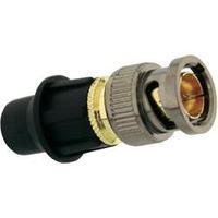 BNC connector Plug, straight 75 ? Telecom Security 1 pc(s)