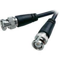 bnc vhs cable 1x bnc plug 1x bnc plug 2 m black speaka professional