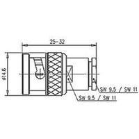 BNC connector Plug, straight 50 ? Telegärtner J01000A0608 1 pc(s)