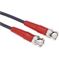 BNC test lead [ BNC plug - BNC plug] 10 m Red Testec 81062