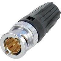 BNC connector Plug, straight 75 ? Neutrik NBNC 75 BTU 11 1 pc(s)