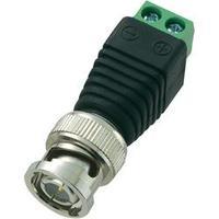 BNC connector Plug, straight 50 ? Conrad Components LT-BNC-DC 1 pc(s)