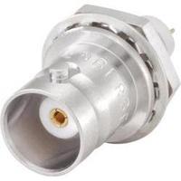 bnc connector socket vertical vertical 50 rosenberger 51k504 200n5 1 p ...