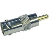 BNC adapter BNC socket - RCA plug (phono) Telegärtner J01008A0838 1 pc(s)