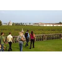 bordeaux vineyards wine tasting half day trip