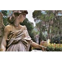 Bonaventure Cemetery Journeys with Shannon Scott