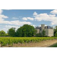 Bordeaux Shore Excursion: Full-Day Private Medoc Wine Tour