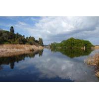 Boyd Hill Nature Preserve Bike Tour from St Petersburg