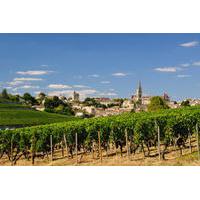Bordeaux Super Saver: Médoc Wine Tour and Lunch plus St-Emilion or Graves