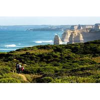 Boutique Great Ocean Road Day Trip from Melbourne with Optional Reserve Seating Upgrade