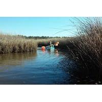 Bon Secour National Wildlife Refuge Kayak Tour