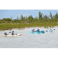 Bonefish Pond National Park Kayaking Tour and Fritter Making Lesson