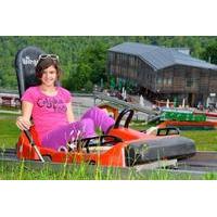 Bobkart Toboggan Ride in Celjska...