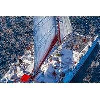 Bol and Brac Party Catamaran with Free Food and Drinks from Split