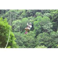 Borinquen Combo Horseback Riding and Canopy Tour