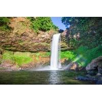 Bolavan Plateau Day Trip from Pakse