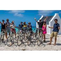 Bonaire South Island Electric Bike Tour
