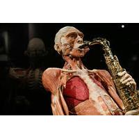 Body Worlds Amsterdam Entrance Ticket with Optional Canal Cruise