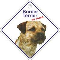 Border Terrier