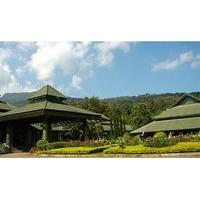 Botanic Resort
