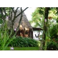 Bosque del Cabo Rain Forest Lodge