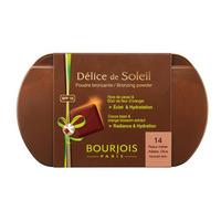 Bourjois Delice de Soleil Bronzing Foundation 8g
