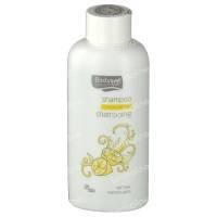 Bodysol Shampoo Greasy Hair Lemon 200 ml