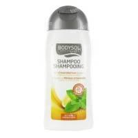 Bodysol Shampoo Oily Hair 200 ml