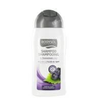 Bodysol Shampoo Normal Hair 200 ml