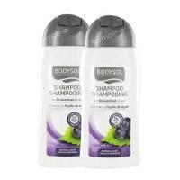 Bodysol Shampoo Normal Hair Promo Duopack Lowered Price 400 ml