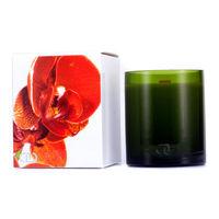 Botanika Multisensory Candle with Ecowood Wick - Clementine 170g/6oz