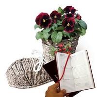 boot planter with red pansies and letts diary