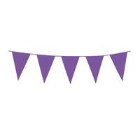 Boland 10m Polyethylene Giant Bunting - Purple