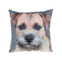 Border Terrier Photo Cushion