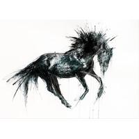 Borrowed Freedom By Marion McCon...