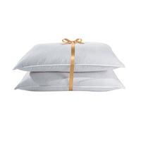 Bounce Back Anti-allergy Pillows (2)