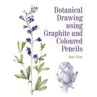 botanical drawing using graphite and coloured pencils