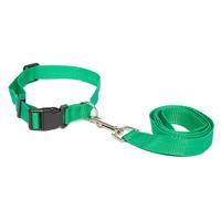 boyz toys dog lead and collar green