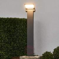 Bollard lamp Marius with LEDs, 60 cm