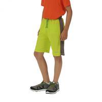 Boys Resolver Shorts Lime Zest Dust