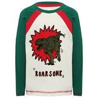 Boys long sleeve colour block stripe dinosaur graphic roarsome slogan pyjama top G - Green