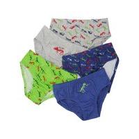 Boys 100% Cotton Multi-colour Dinosaur design elasticated waistband Briefs - 5 Pack - Multicolour