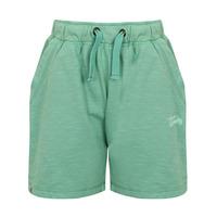 Boys K-Gasper Slub Sweat Shorts in Washed Light Green  Tokyo Laundry Kids