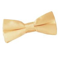 Boy\'s Plain Pale Yellow Satin Bow Tie
